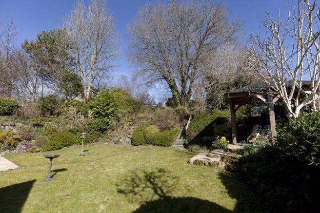Garden (3)