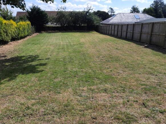 Plot looking east