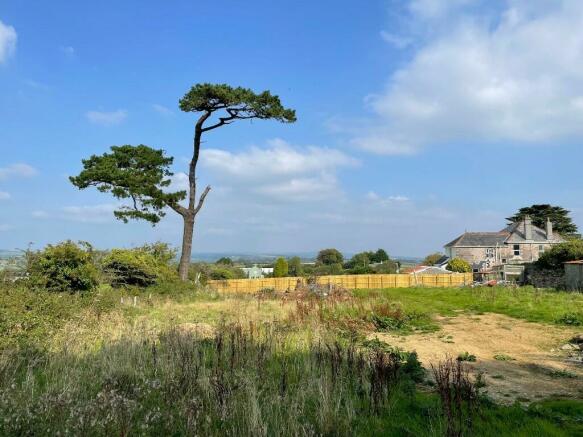 view across site