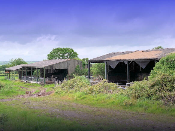 View of barns