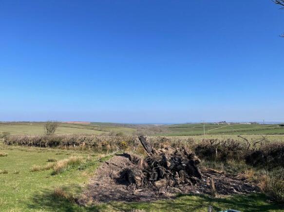 view from boundary