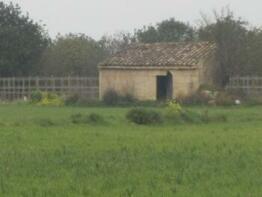 Photo of Balearic Islands, Mallorca, Sencelles