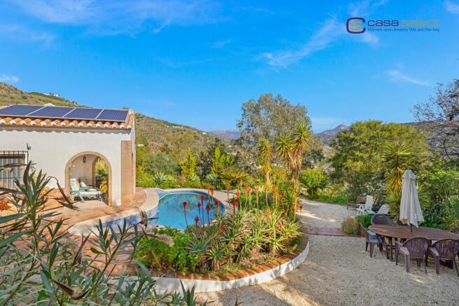 Pool & garden area