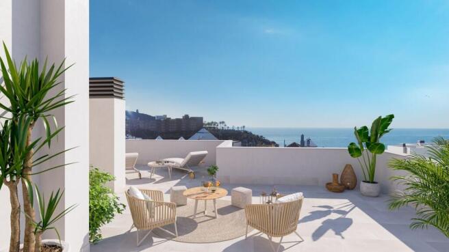 Terrace penthouse & 