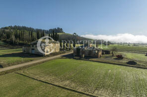 Photo of Tuscany, Siena, Buonconvento