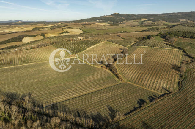 Montalcino Azienda v