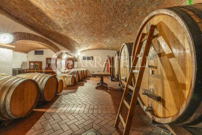 Arezzo azienda vitiv
