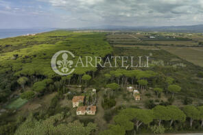 Photo of Tuscany, Livorno, Castagneto Carducci