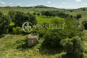 Photo of Tuscany, Siena, Torrita di Siena