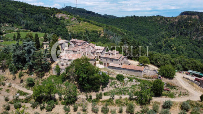 Azienda agricola con