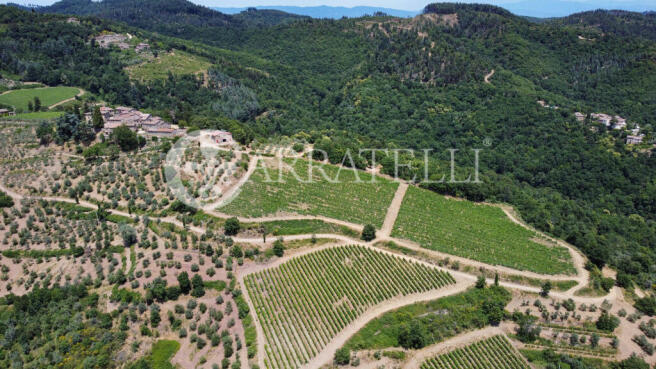 Azienda agricola con