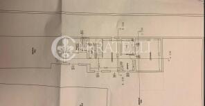 Planmetria Rif.11784