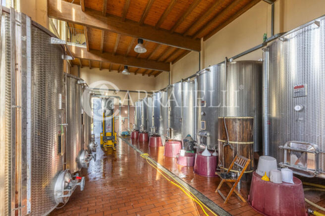 Azienda Vitivinicola