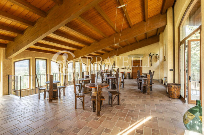 Azienda Vitivinicola