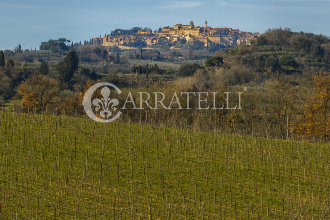 Azienda Vitivinicola