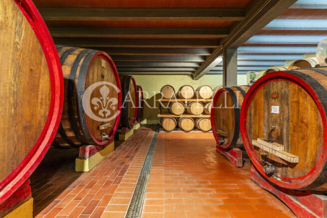 Colline del Chianti 