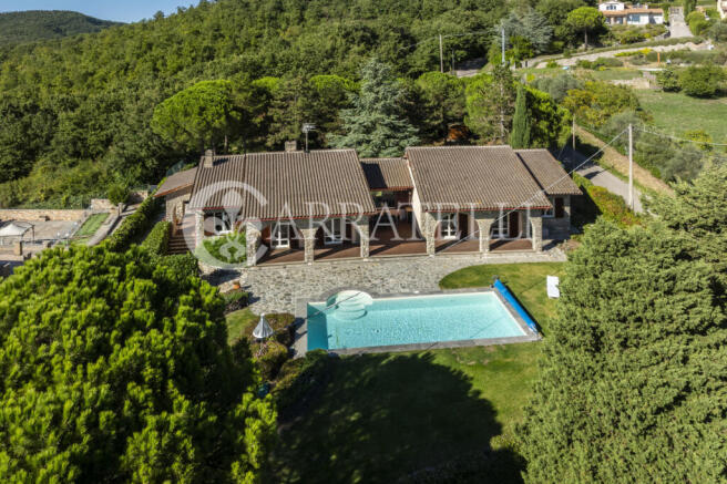 Trasimeno graziosa v