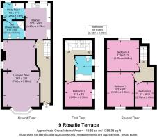 9-Rosalie__3D