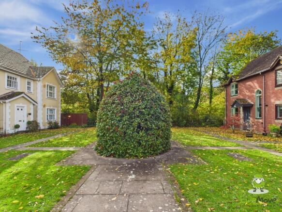 Outside the front of the house