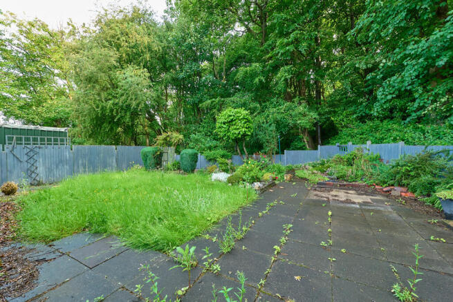 P1462990 T202506031601.jpg