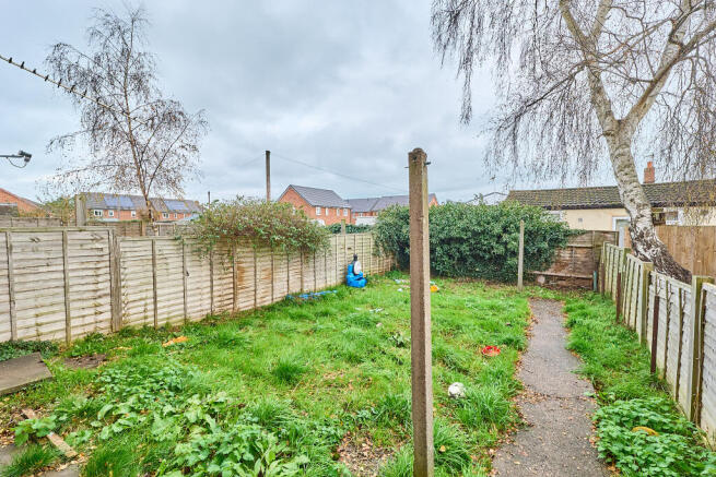 P1628557 T202511221528.jpg