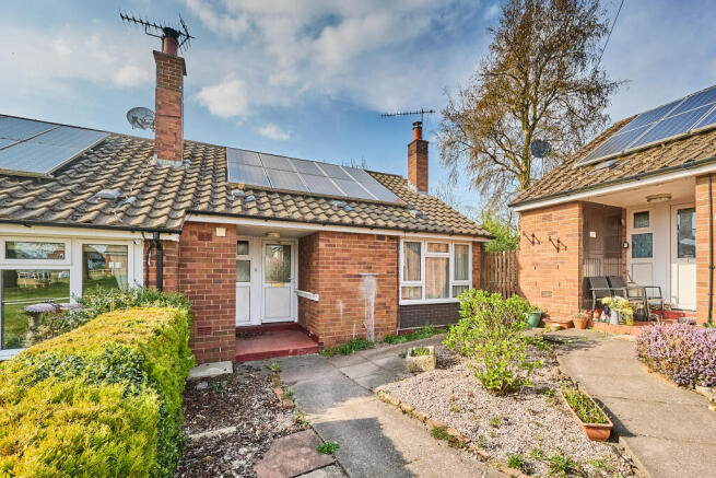 P1441381 T202504031905.jpg