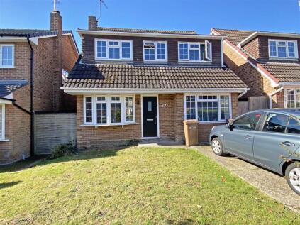 6 BEDROOM H.M.O (or Family Home) on Petersfield, Chelmsford