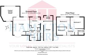 37 Humber Road - all floors.JPG