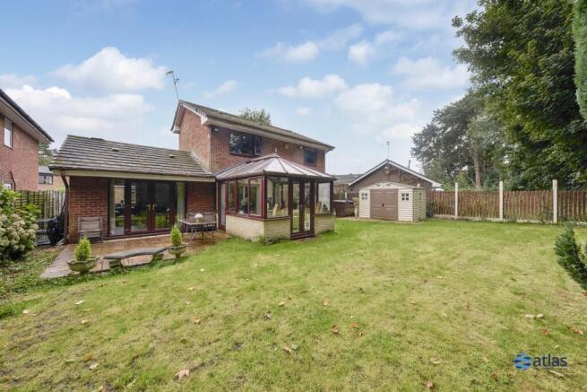 Back Garden