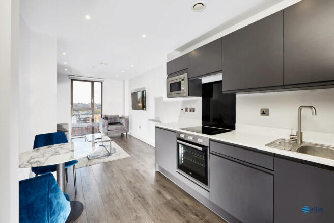 Kitchen/Living Area