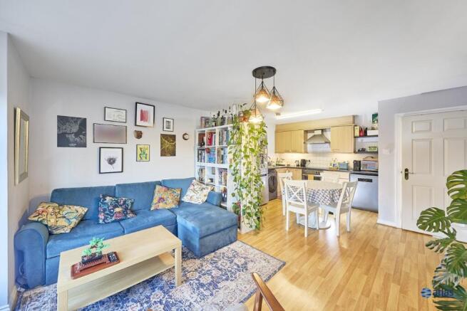 Kitchen / Dining / Living Area