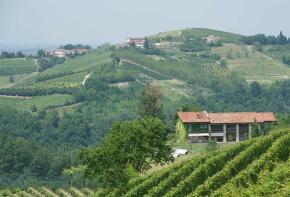 Photo of Murazzano, Cuneo, Piedmont