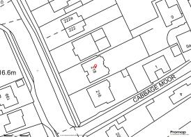 promap316105032581327504000
