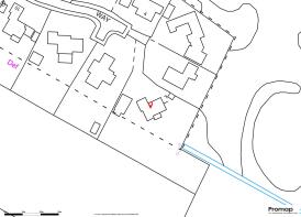 promap317592332726917504000