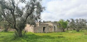 Photo of Apulia, Brindisi, Latiano