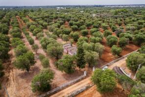 Photo of Apulia, Brindisi, San Vito dei Normanni