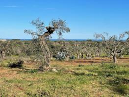 Photo of Apulia, Brindisi, San Vito dei Normanni