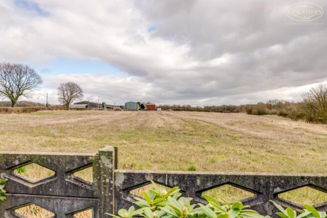 Rear garden view 