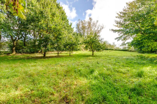 Private fields 