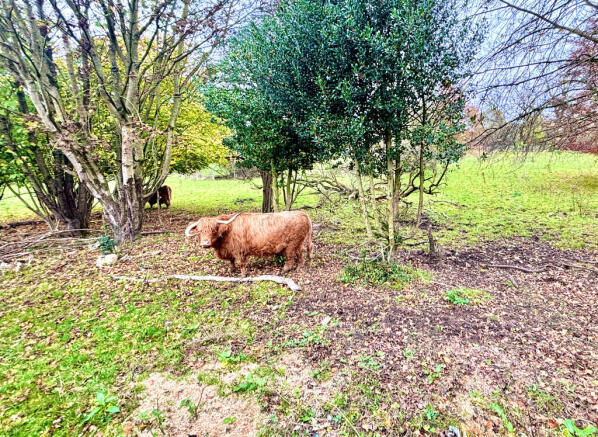 Grounds of Kings ...