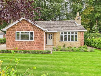 Lowndes Park, Driffield