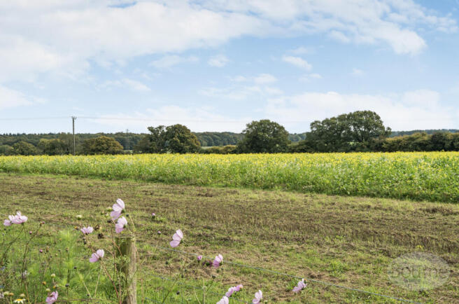 a7592ae9-ee41-45a...