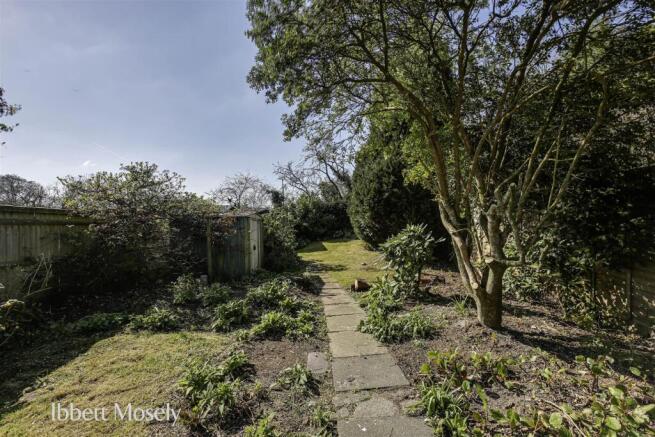 New garden (1).jpg