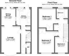 The Martlet, Floo...