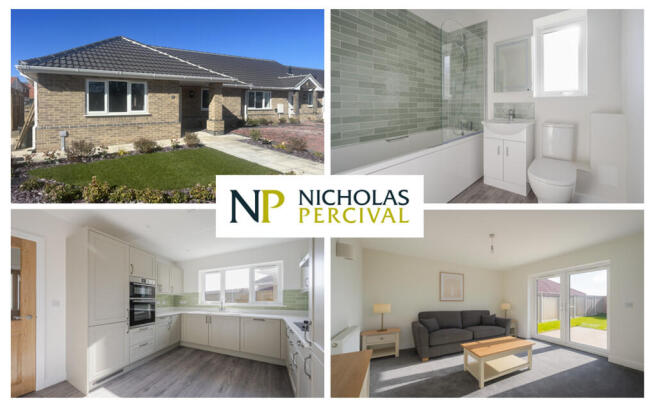 montagemarigoldpl...