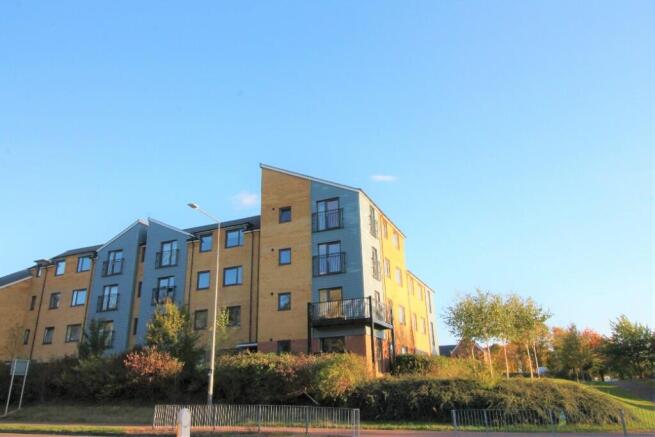 Photo Of Block