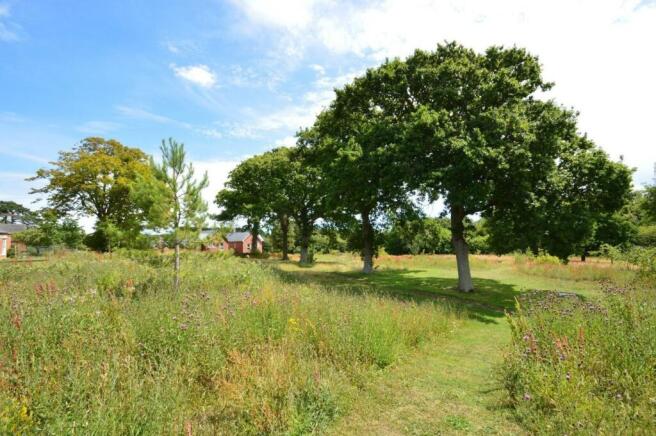 The Grounds