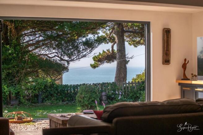 Views from the living room