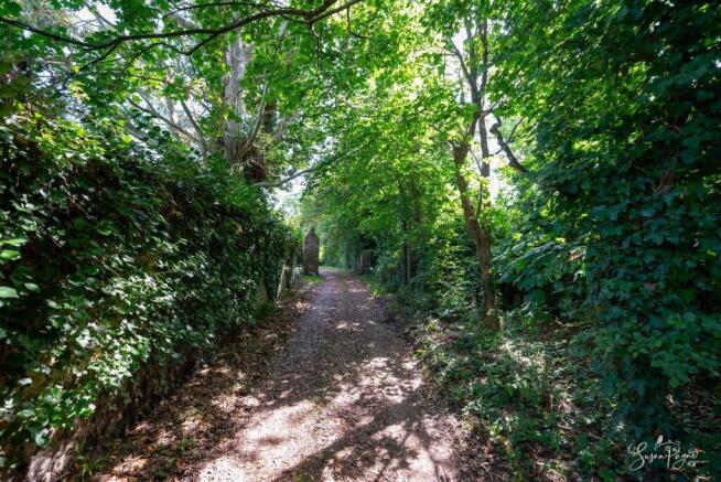 Driveway