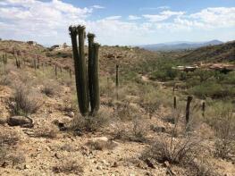 Photo of Arizona, Pima County, Tucson